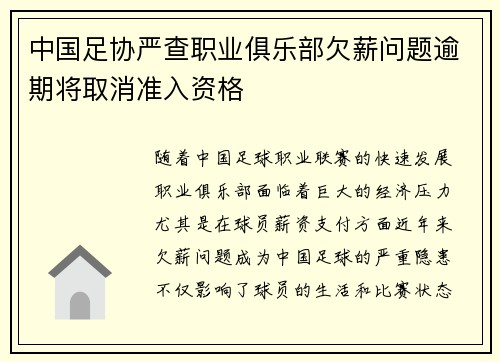 中国足协严查职业俱乐部欠薪问题逾期将取消准入资格